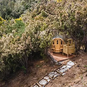 El Pino Centenario 3 Con Sauna Villa La Orotava